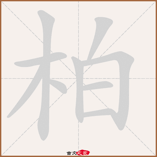 柏的拼音怎么读