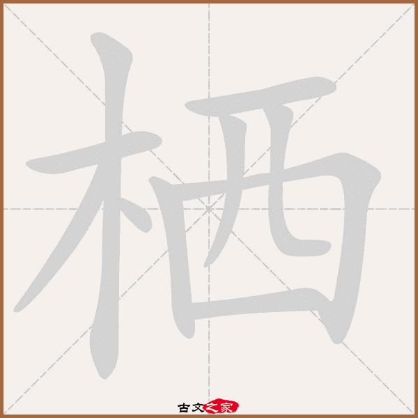 栖的拼音怎么读