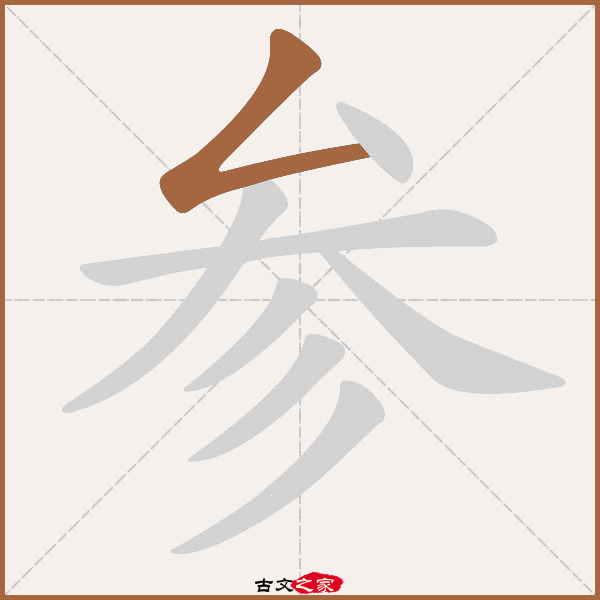 参的拼音怎么读