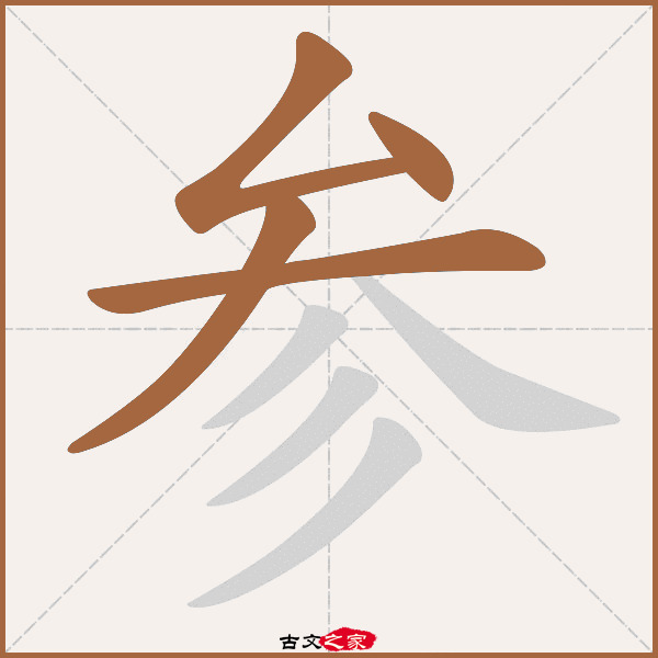 参的拼音怎么读