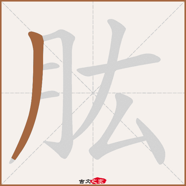 肱的拼音怎么读