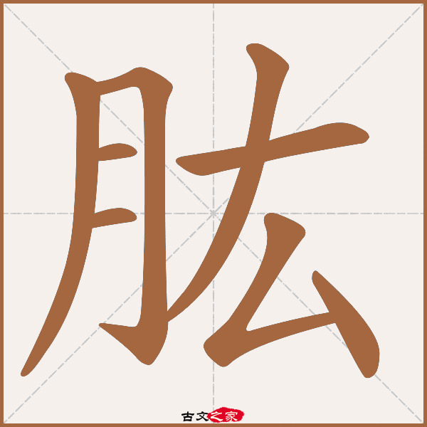 肱的拼音怎么读