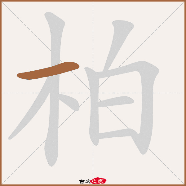 柏的拼音怎么读