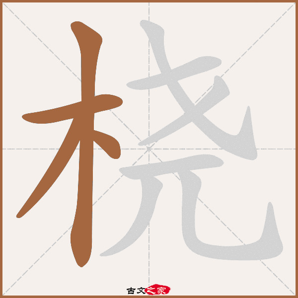 桡的拼音怎么读