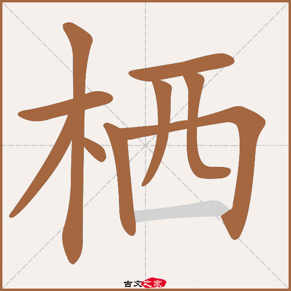 栖的拼音怎么读