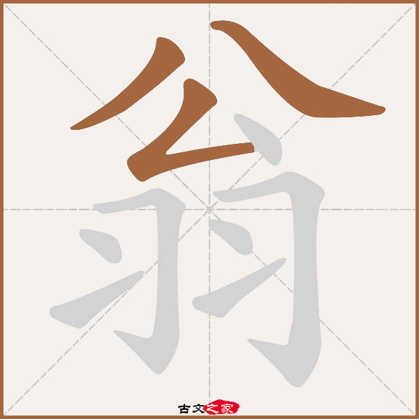 翁的拼音怎么读