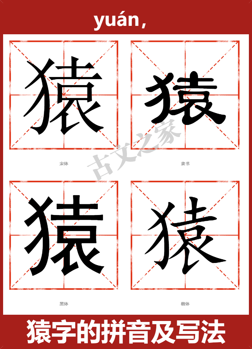 猿的拼音怎么读