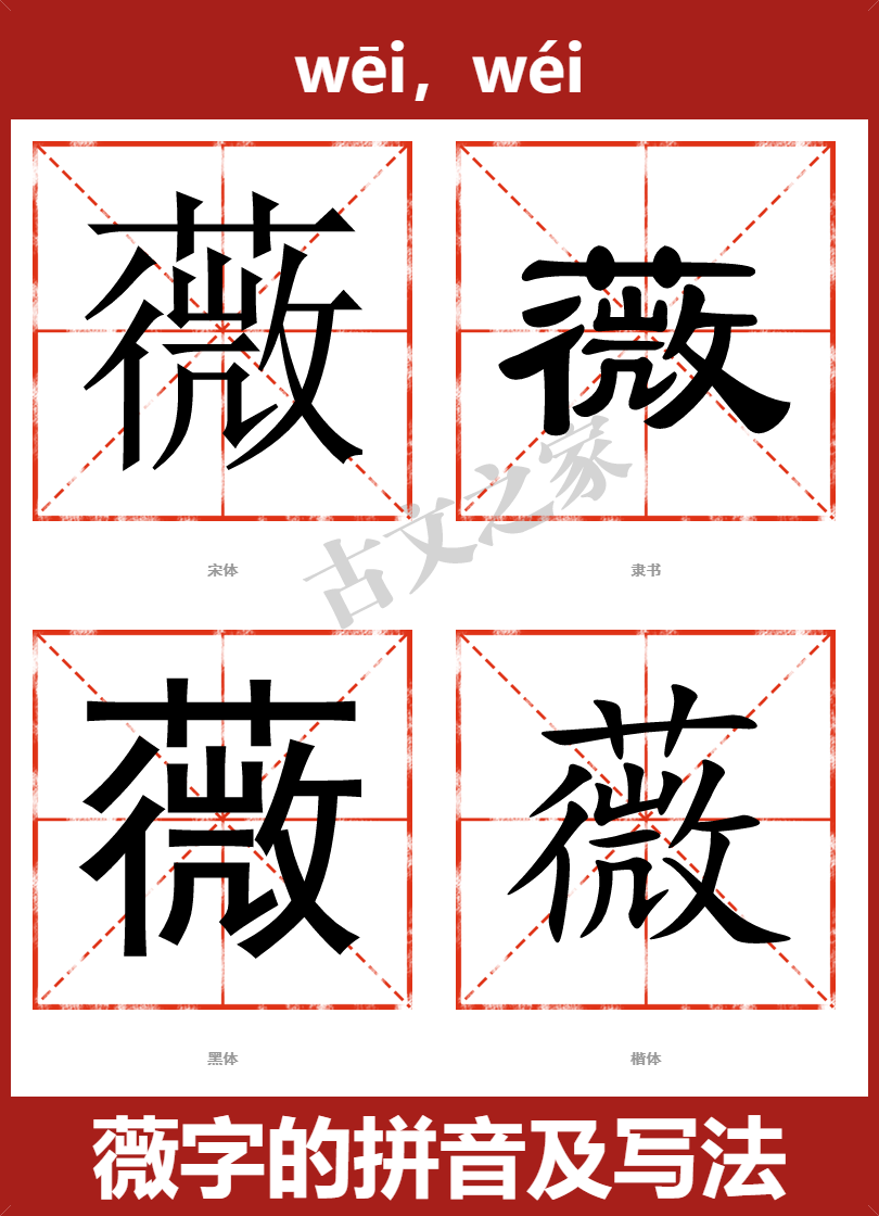 薇字的拼音及宋体,隶书,楷体及黑体的字体样式欣赏