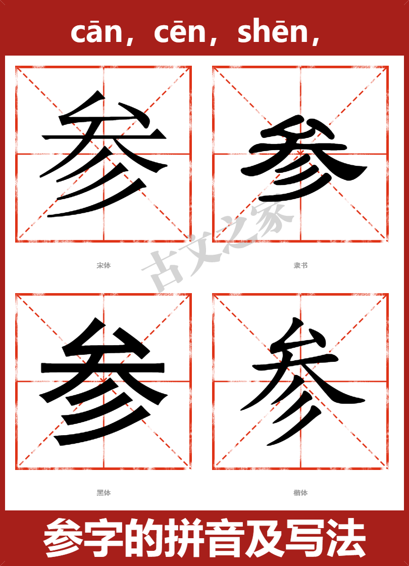 参的拼音怎么读