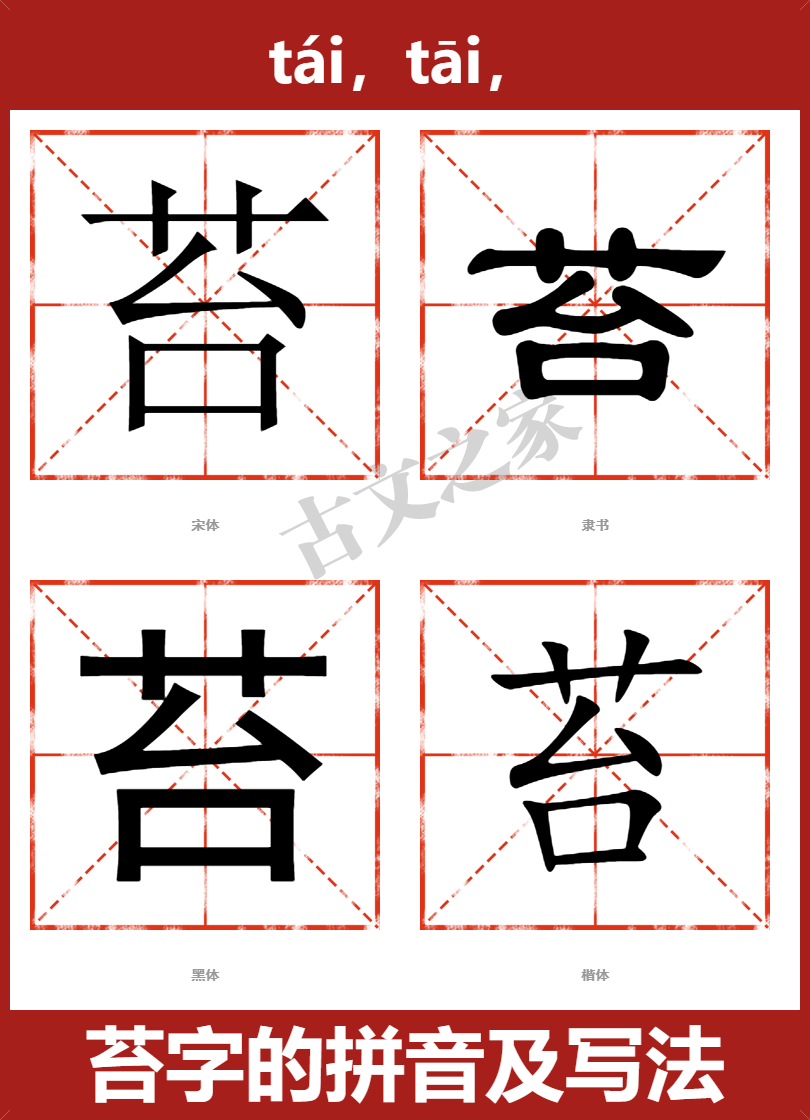 苔的拼音怎么读