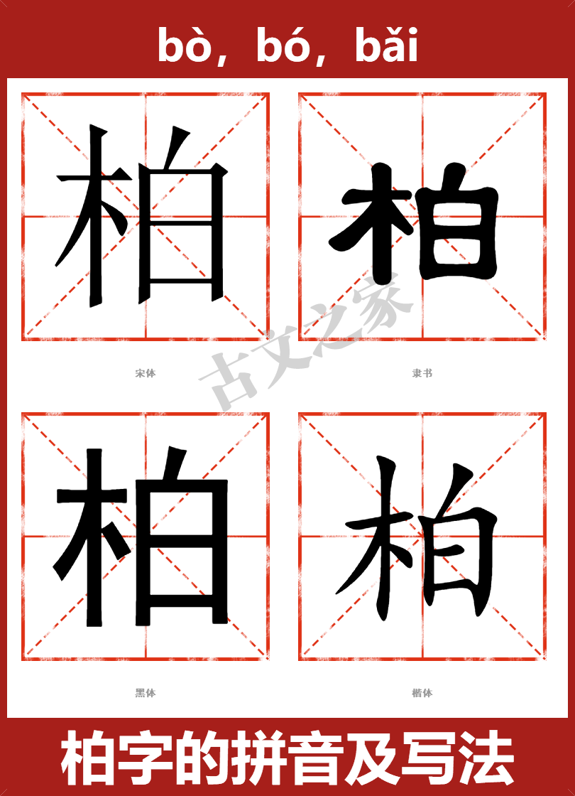 柏的拼音怎么读