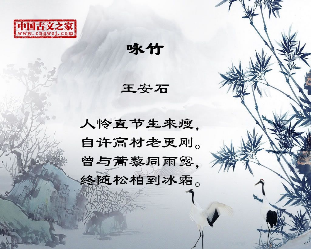 白居易《咏竹》,竹子的吉祥语,高雅不俗竹子的网名_大山谷图库