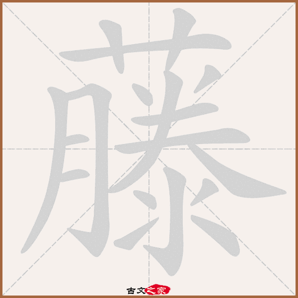 藤的拼音怎么读