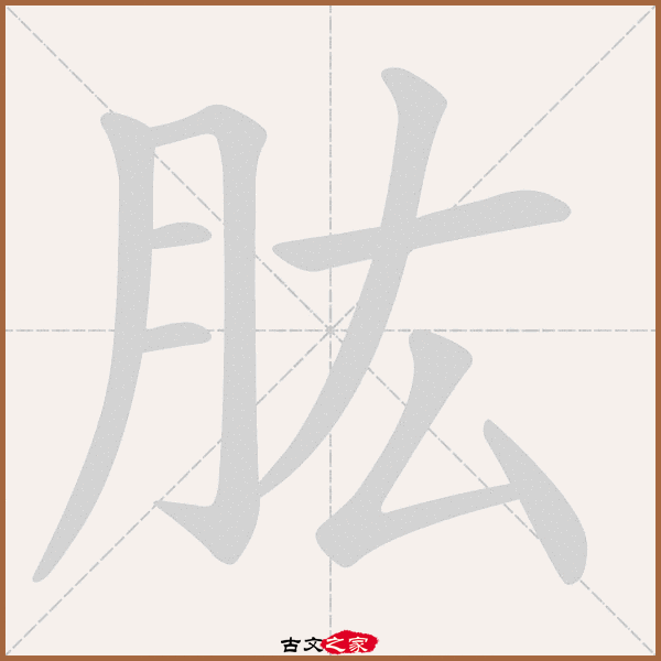 肱的拼音怎么读