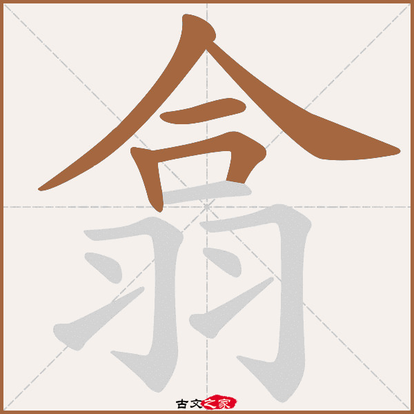 翕字笔顺相关词语及拼音其它字典出处:[ 古文字诂林 ]:04册,第9部,羽