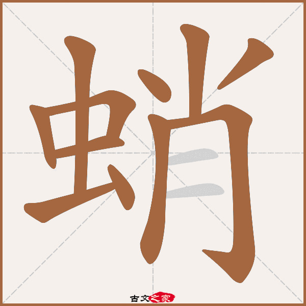 蛸的拼音怎么读