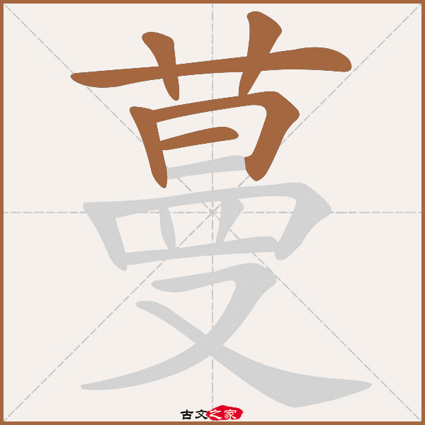 蔓的拼音怎么读