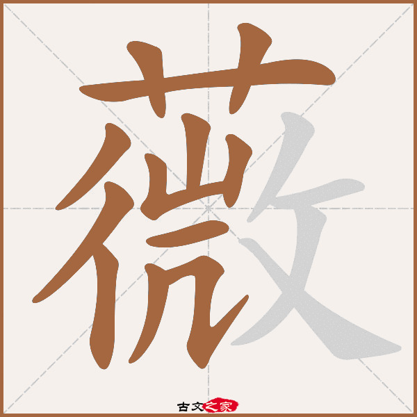 薇的拼音怎么读