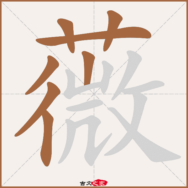 薇的拼音怎么读