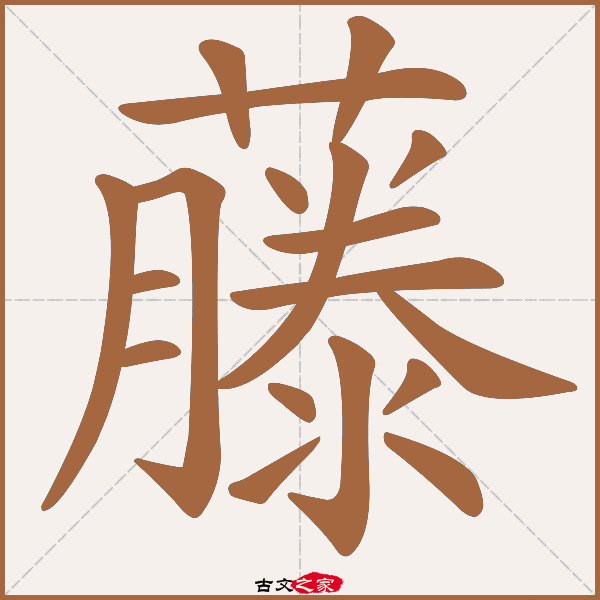 藤的拼音怎么读