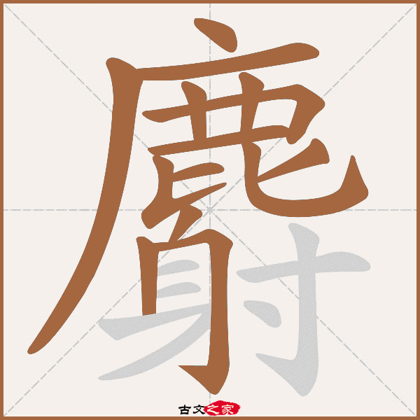 麝的拼音怎么读