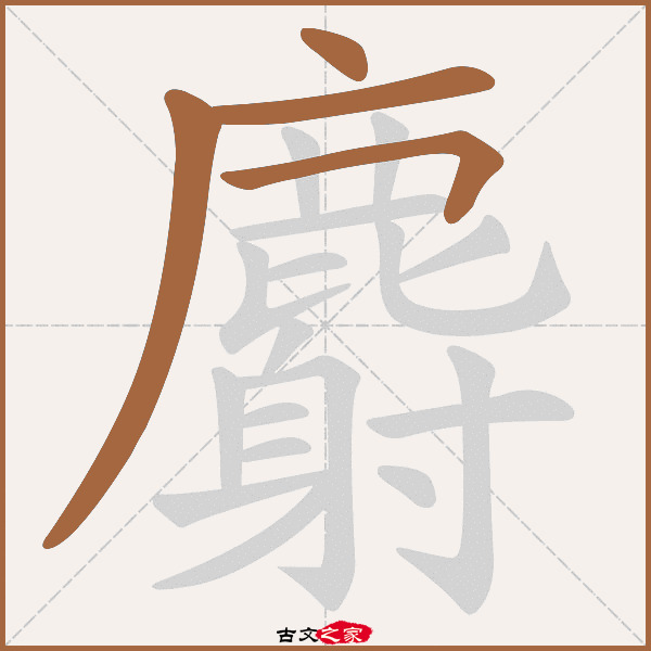 麝的拼音怎么读