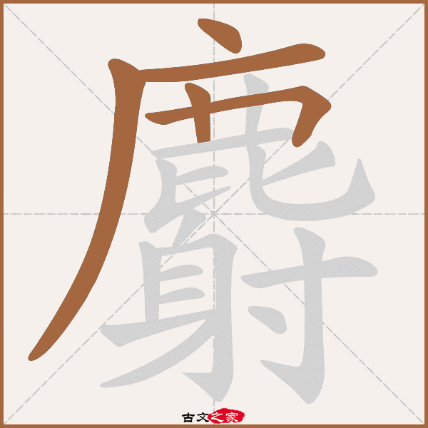 麝的拼音怎么读