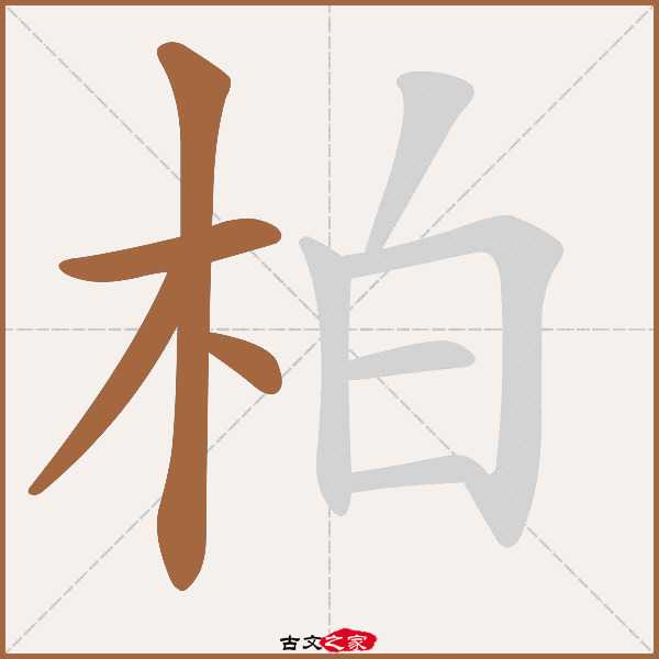 柏的拼音怎么读