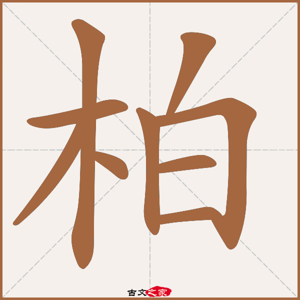 柏的拼音怎么读