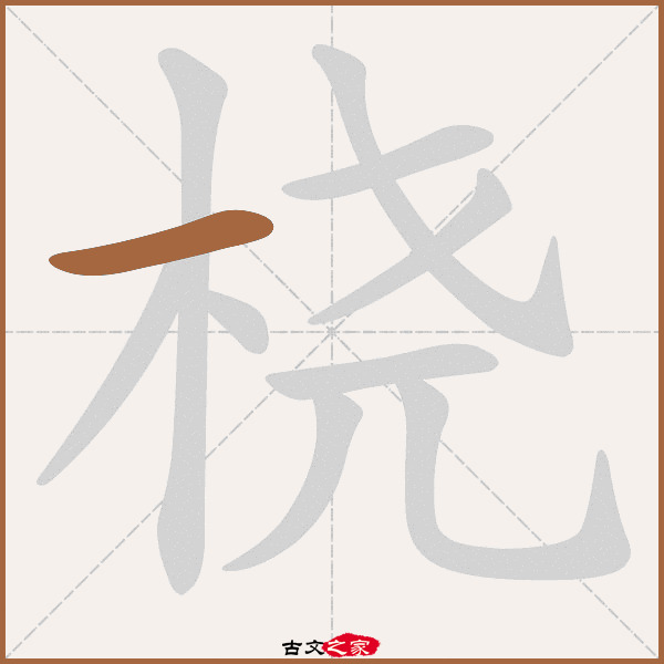 桡的拼音怎么读