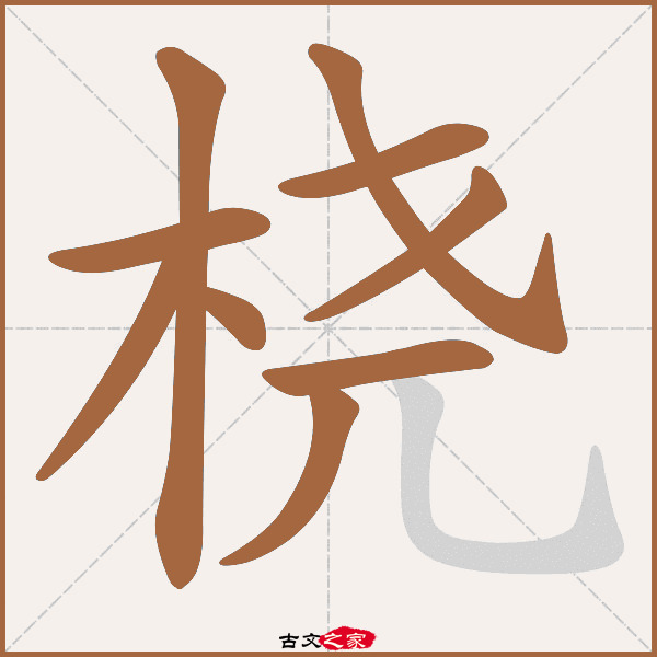 桡的拼音怎么读