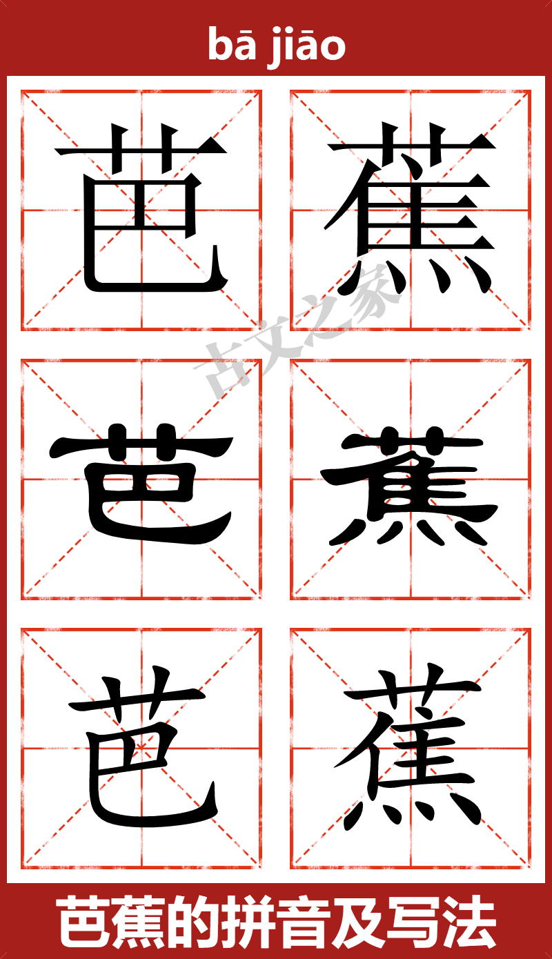 芭蕉的拼音及文字书写效果