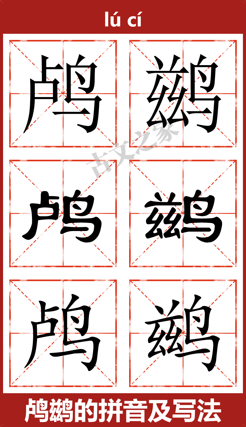鸬鹚的拼音及文字书写效果
