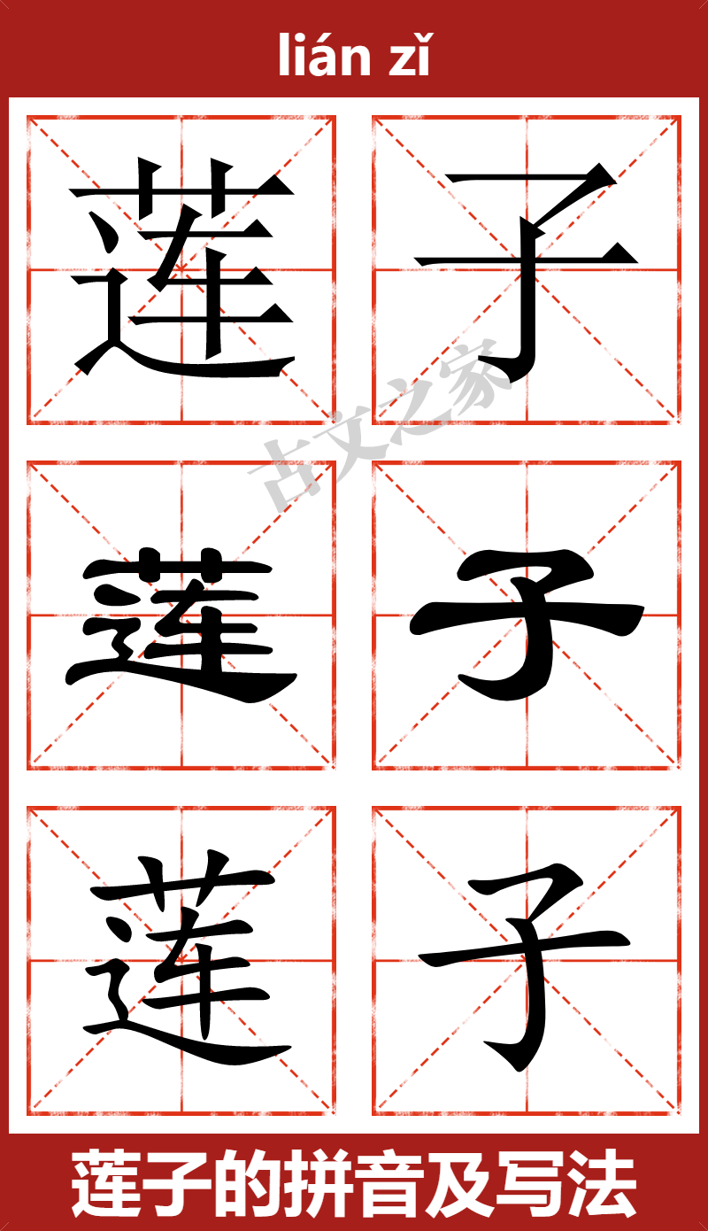 莲子的拼音及文字书写效果