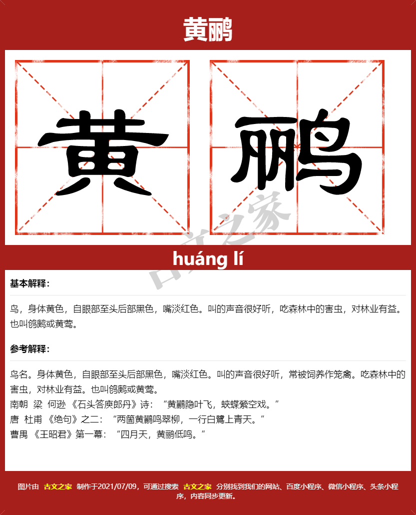 黄鹂的拼音及文字书写效果