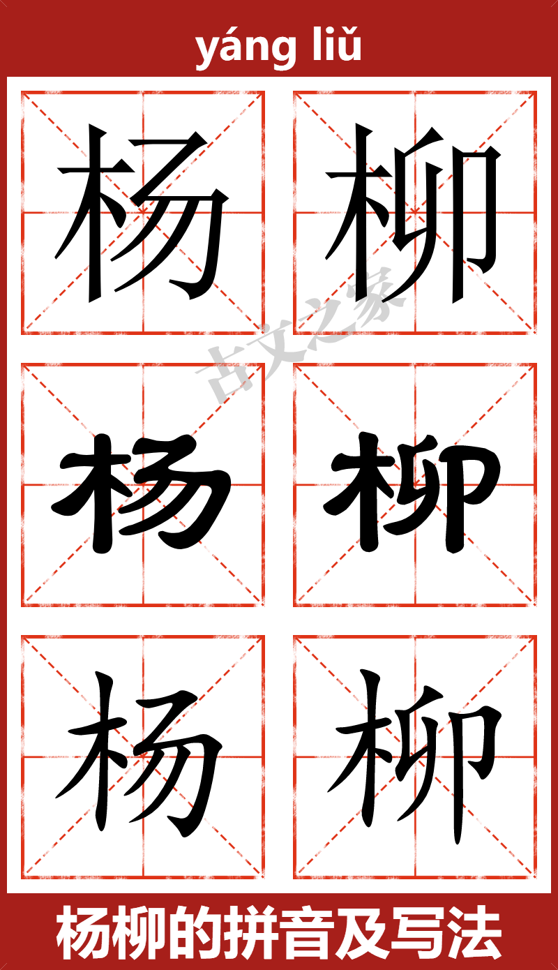 杨柳的拼音及文字书写效果
