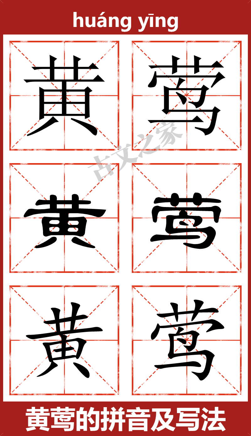 黄莺的拼音怎么读