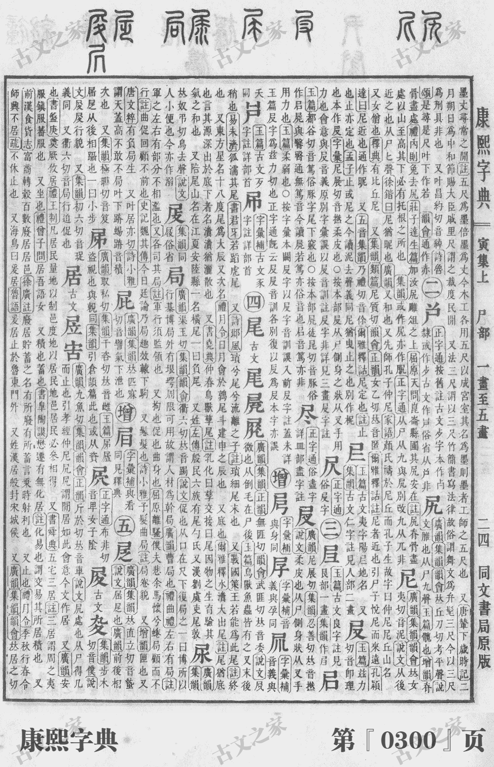 尽字的意思及解释