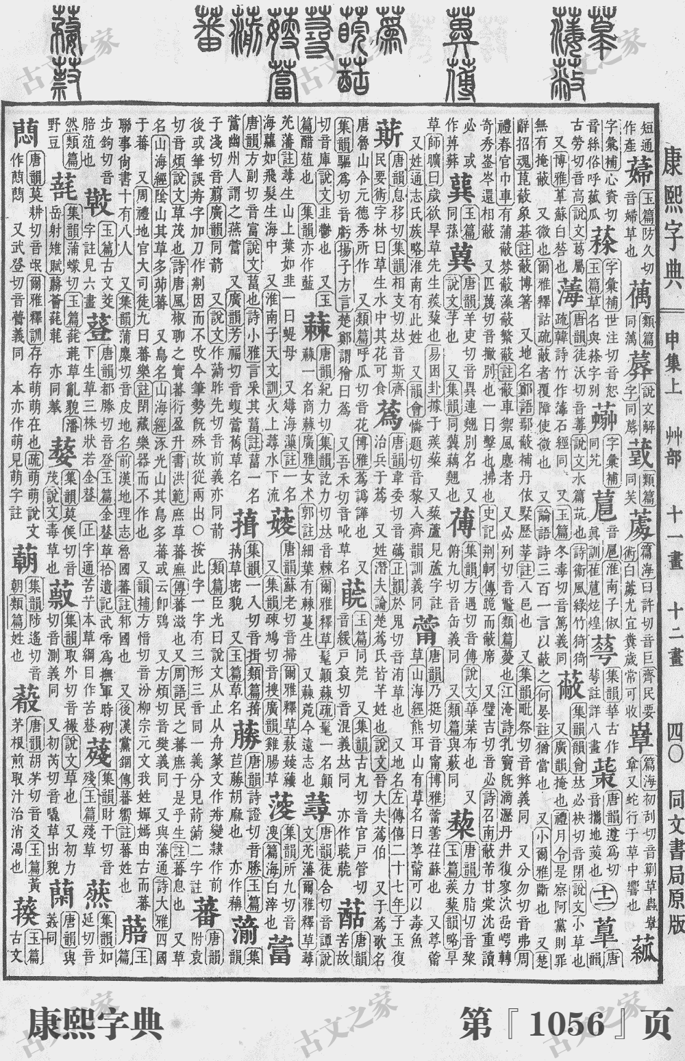 蔷字在康熙字典的位置