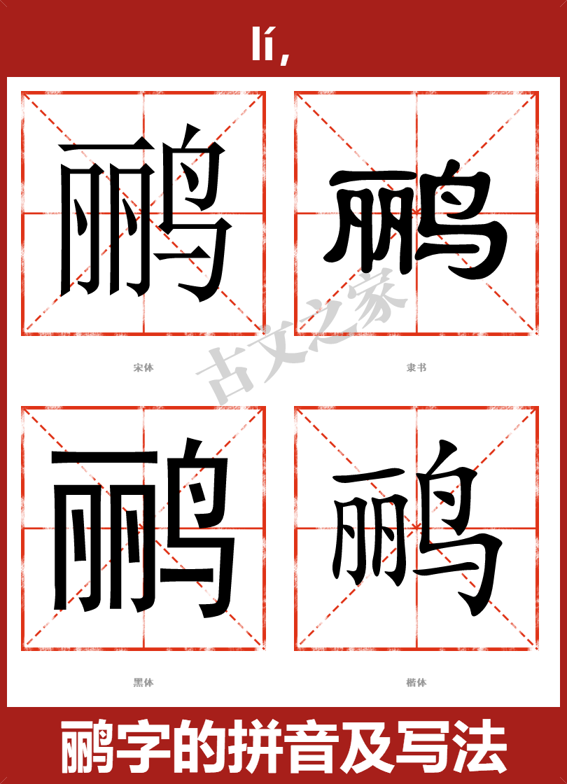 鹂字的拼音及宋体，隶书，楷体及黑体的字体样式欣赏