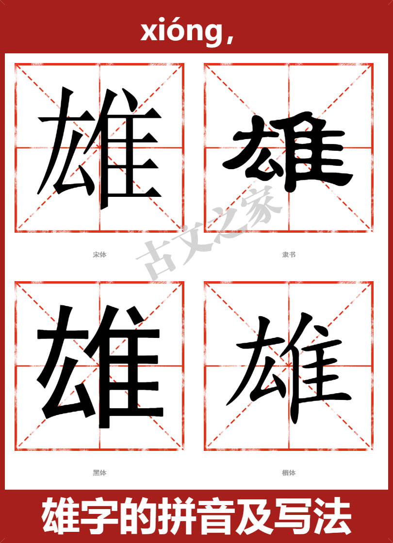 雄的拼音怎么读