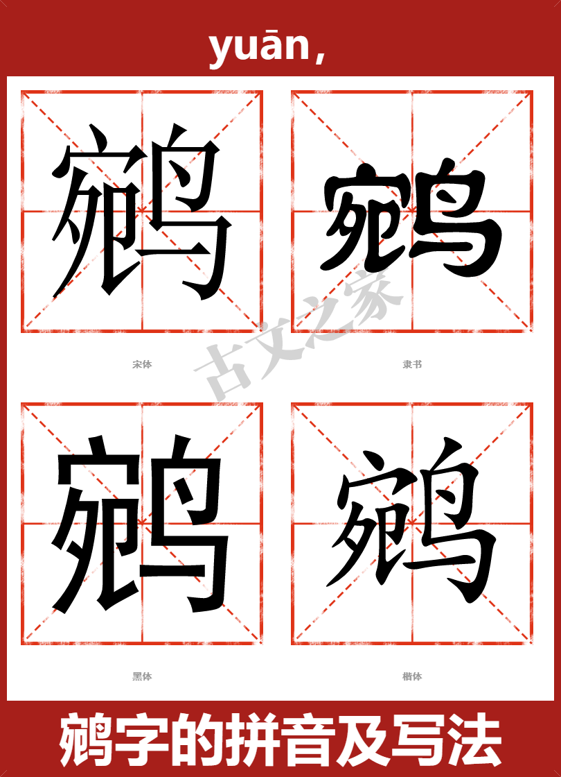 鹓字的拼音及宋体，隶书，楷体及黑体的字体样式欣赏