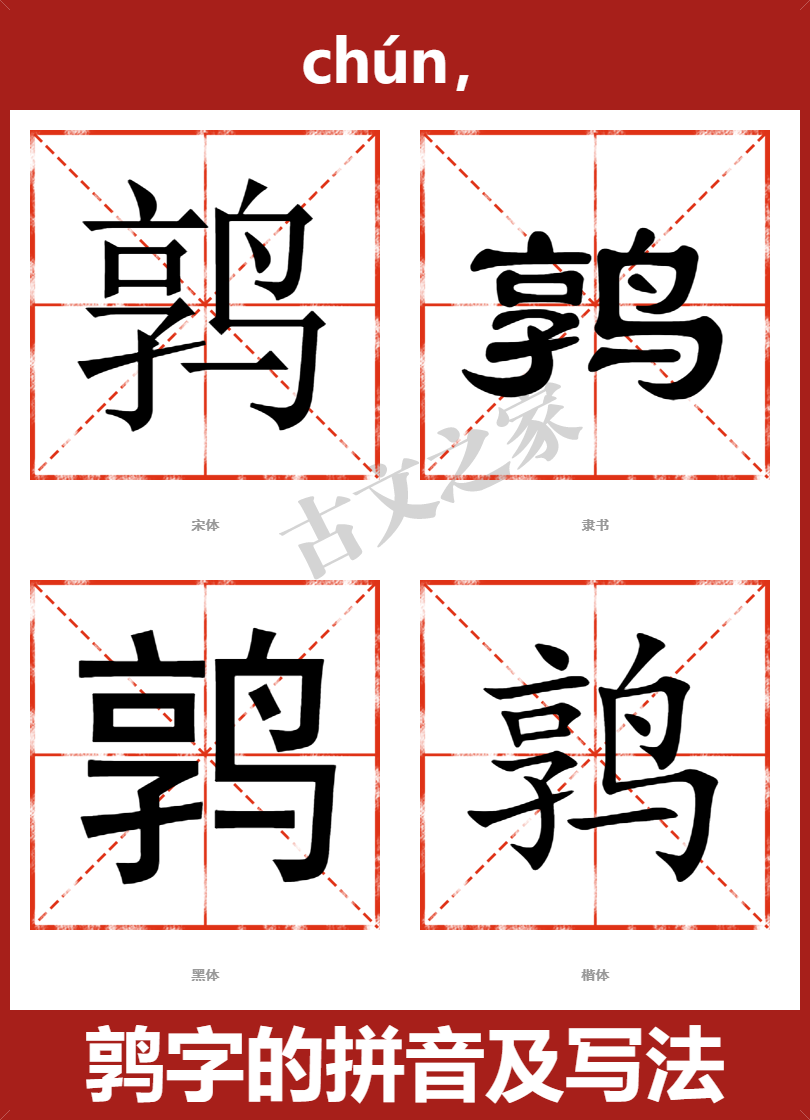 鹑的拼音怎么读