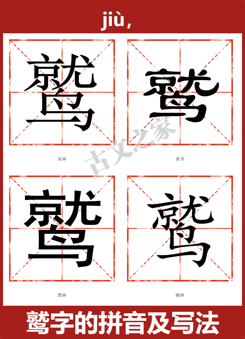 鹫的拼音怎么读