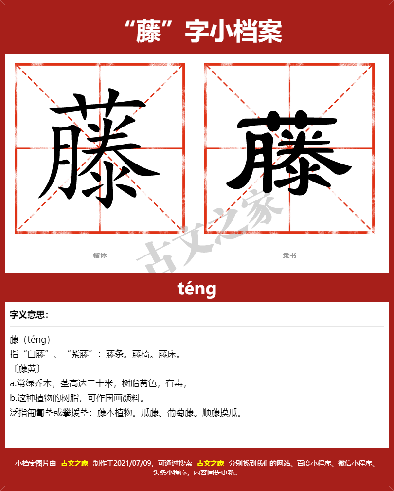 藤的拼音怎么读