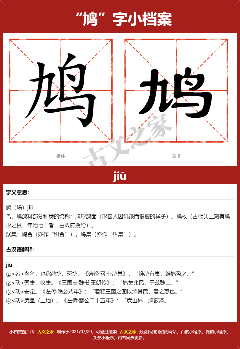 鸠的拼音怎么读