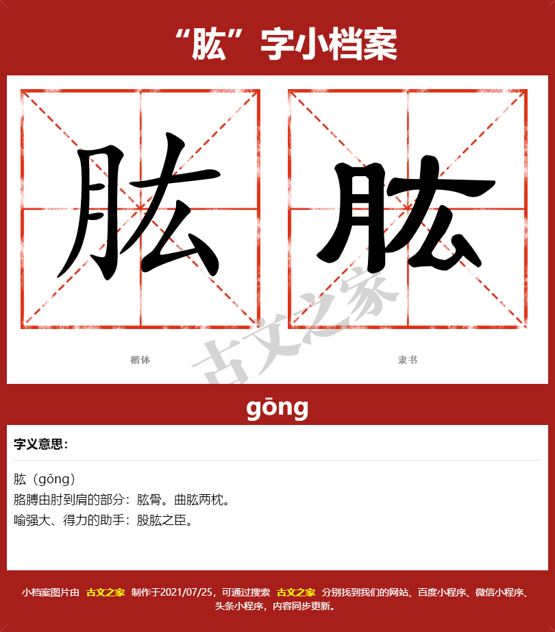 肱的拼音怎么读