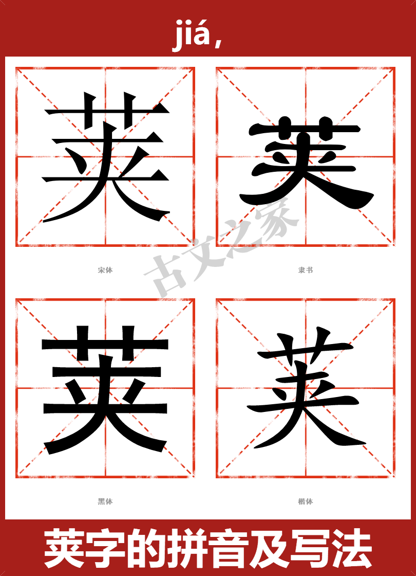 荚的拼音jiá,荚的拼音读音及基本信息