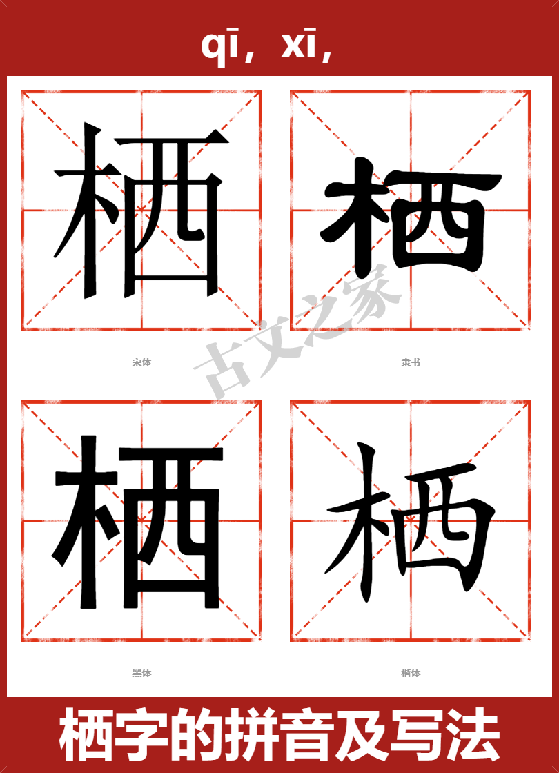 栖的拼音怎么读