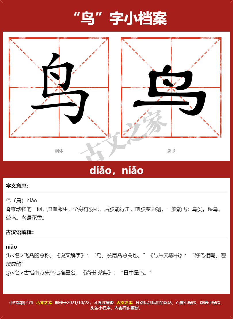 鸟的拼音怎么读